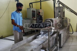 Produksi Uji Coba iPhone 17 di India
